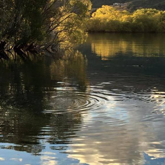 Meet your Posher, Barbara - Picture 1 of 1